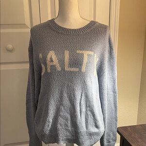 Z Supply Light Blue 'Salty' Crew Neck Sweater